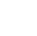 white flower graphic