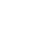 white flower graphic